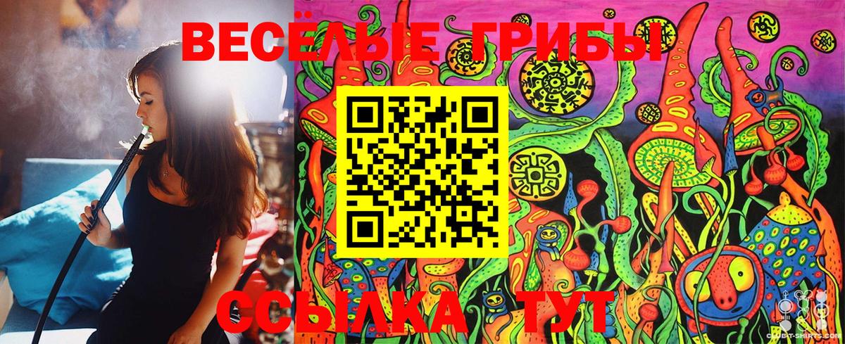 Галлюциногенные грибы MAGIC MUSHROOMS Клинцы